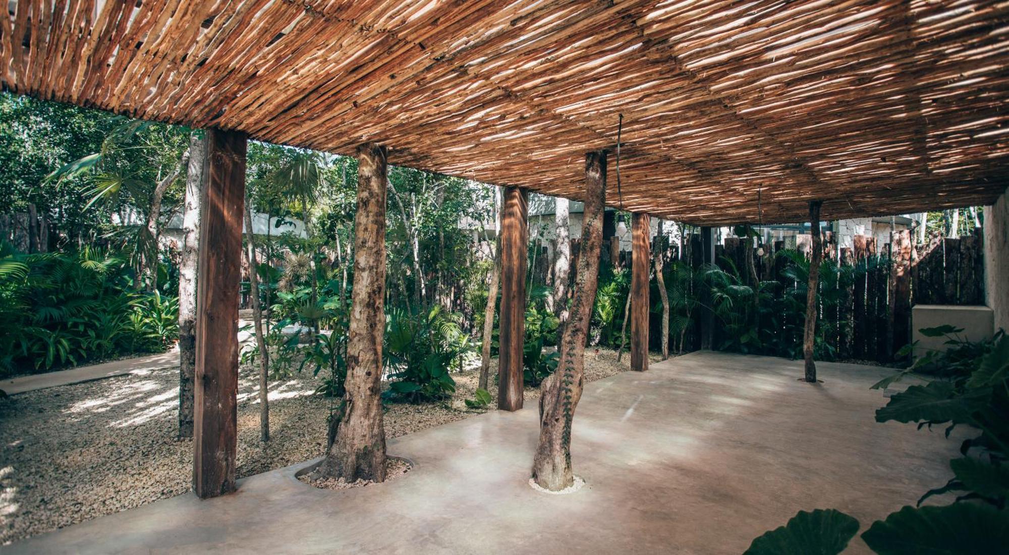 Tulum Jungle Luxury Villa -Pvt Pool - Concierge 6A Ngoại thất bức ảnh